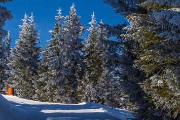 Ausflugsziel: Symbolbild für ein Skigebiet - Skigebiet Alta Badia