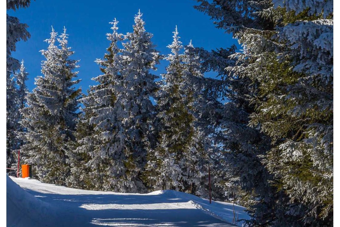 Ausflugsziel: Symbolbild für Skifahren - Skigebiet Savognin