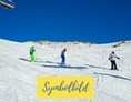 Ausflugsziel: Symbolbild Skifahren - Mölltaler Gletscher