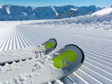 Ausflugsziel: Symbolbild für Skifahren - Paganella Ski