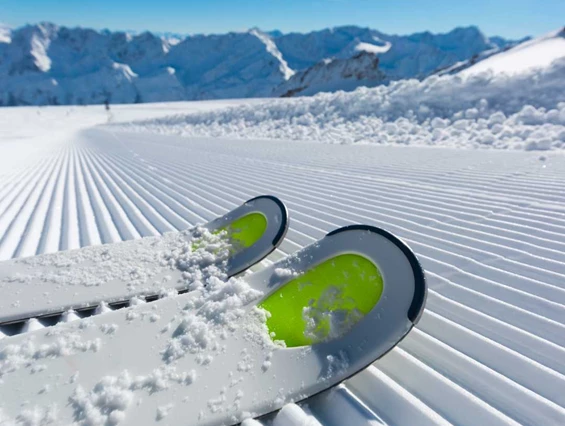 Ausflugsziel: Paganella Ski