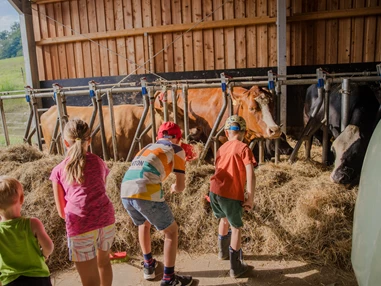Ausflugsziel: Familienhotel Schreinerhof mit Reitschule & Bauernhof