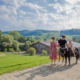Ausflugsziel: Familienhotel Schreinerhof mit Reitschule & Bauernhof 