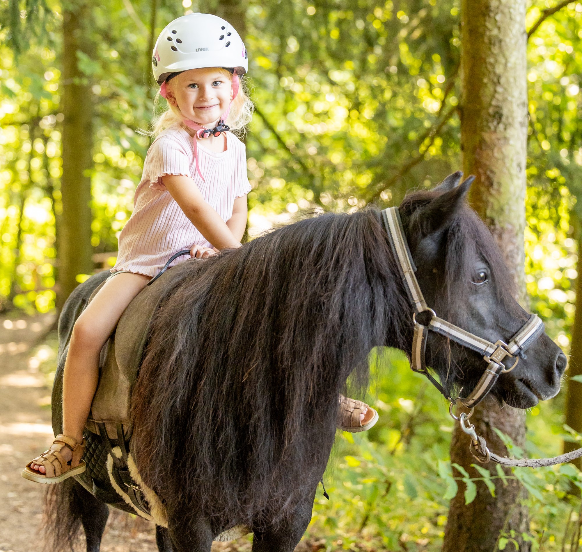Ausflugsziel: Familienhotel Schreinerhof mit Reitschule & Bauernhof 