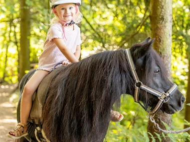 Ausflugsziel: Familienhotel Schreinerhof mit Reitschule & Bauernhof