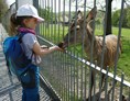 Ausflugsziel: Tiergehege im Naherholungsgebiet Waldhaus bei Greiz