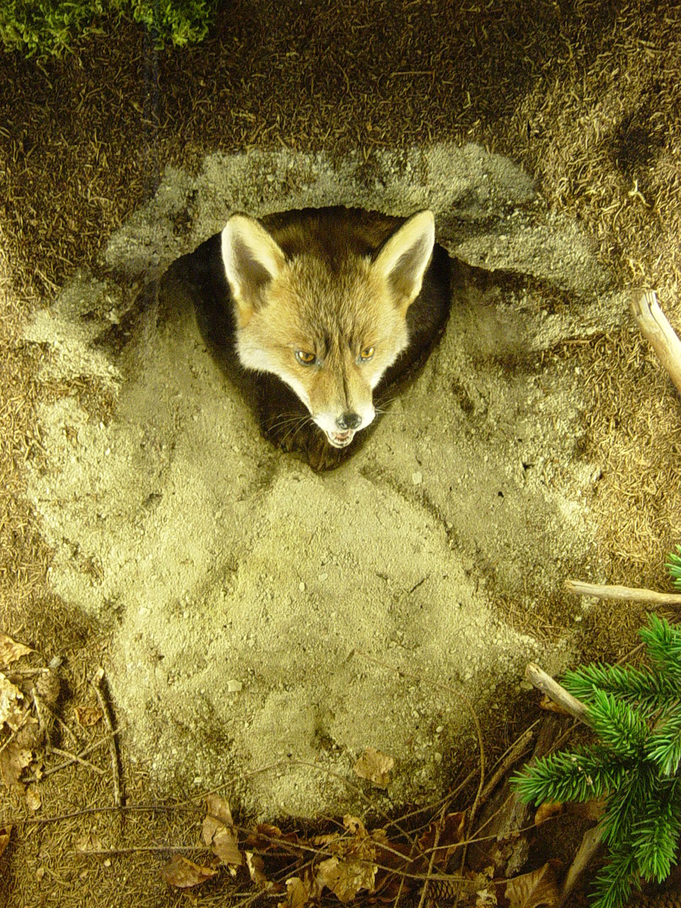 Ausflugsziel: LIGNORAMA Holz- und Werkzeugmuseum