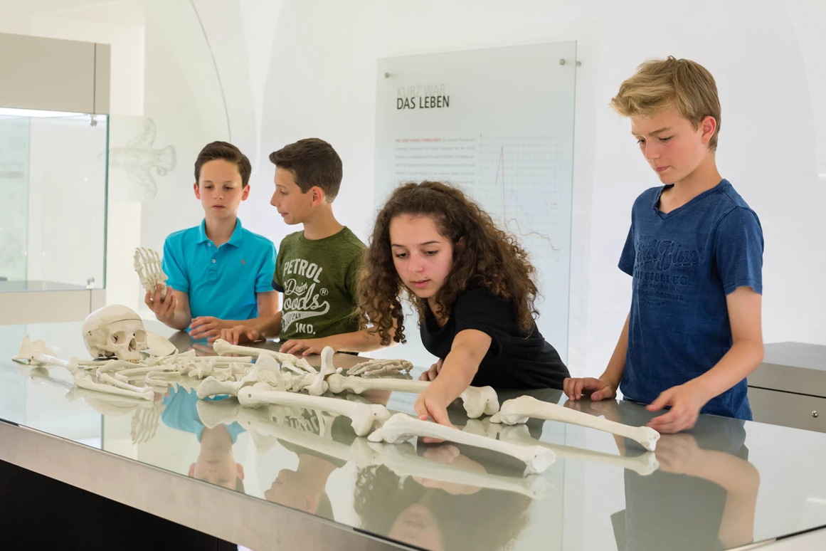 Ausflugsziel: Knochenlabor - Keltenmuseum Hallein