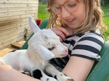 Ausflugsziel: Vielfalt Farm