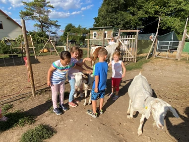 Ausflugsziel: Vielfalt Farm