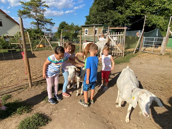 Ausflugsziel: Vielfalt Farm