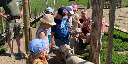 Viaggio con bambini - Felixdorf - Vielfalt Farm