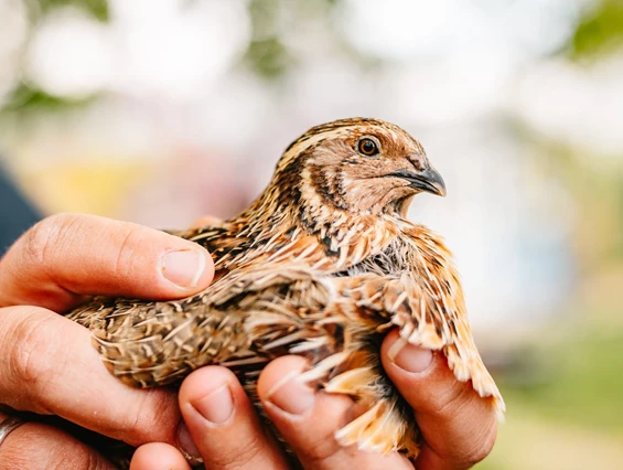 Ausflugsziel: Vielfalt Farm