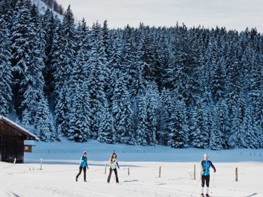 Ausflugsziel: POSTALM WINTERPARK