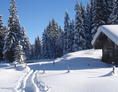 Ausflugsziel: Winterwanderung im Schnee