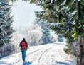 Ausflugsziel: Winterwanderung im Schnee