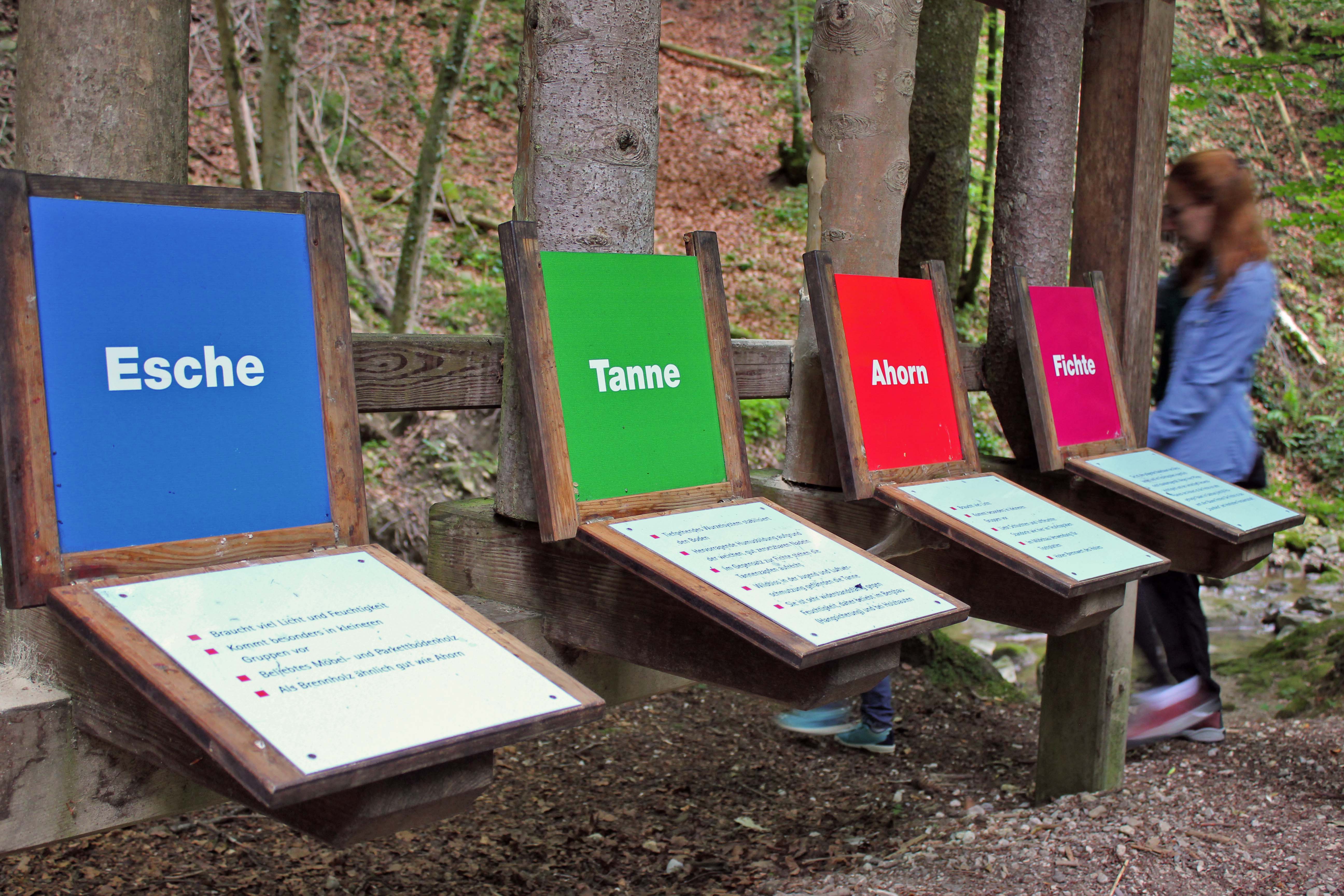 Ausflugsziel: Teufelsgraben