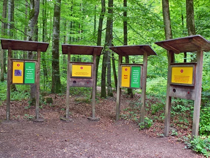 Reis met kinderen - Umgebungsschwerpunkt: Fluss - Teufelsgraben