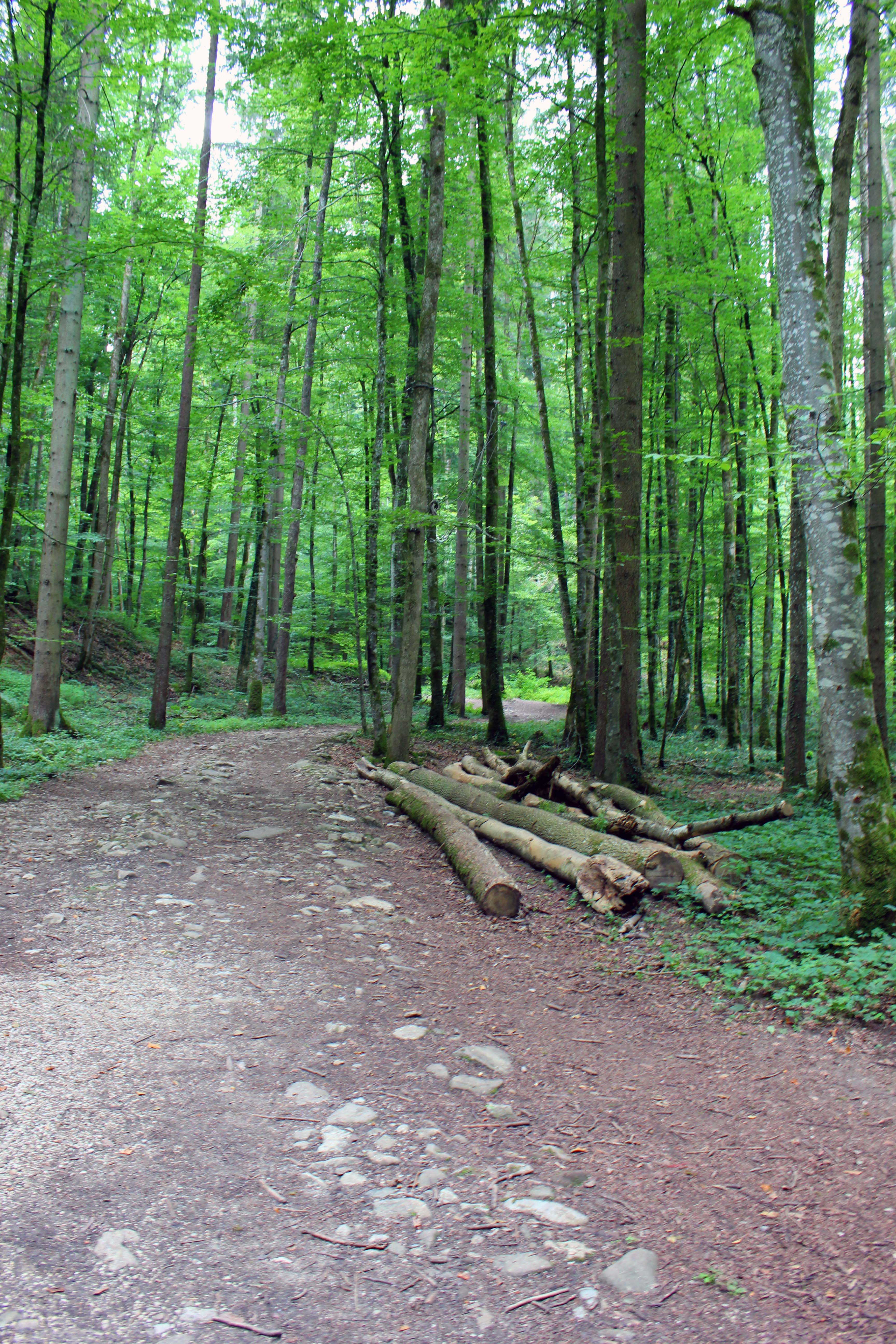 Ausflugsziel: Teufelsgraben