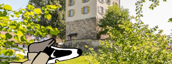 Ausflugsziel: Detektiv-Trail Auenstein