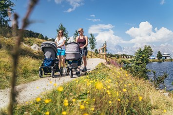 Ausflugsziel: Kinderwagen-Rundweg - Kinder-Erlebniswelt auf der Reiteralm