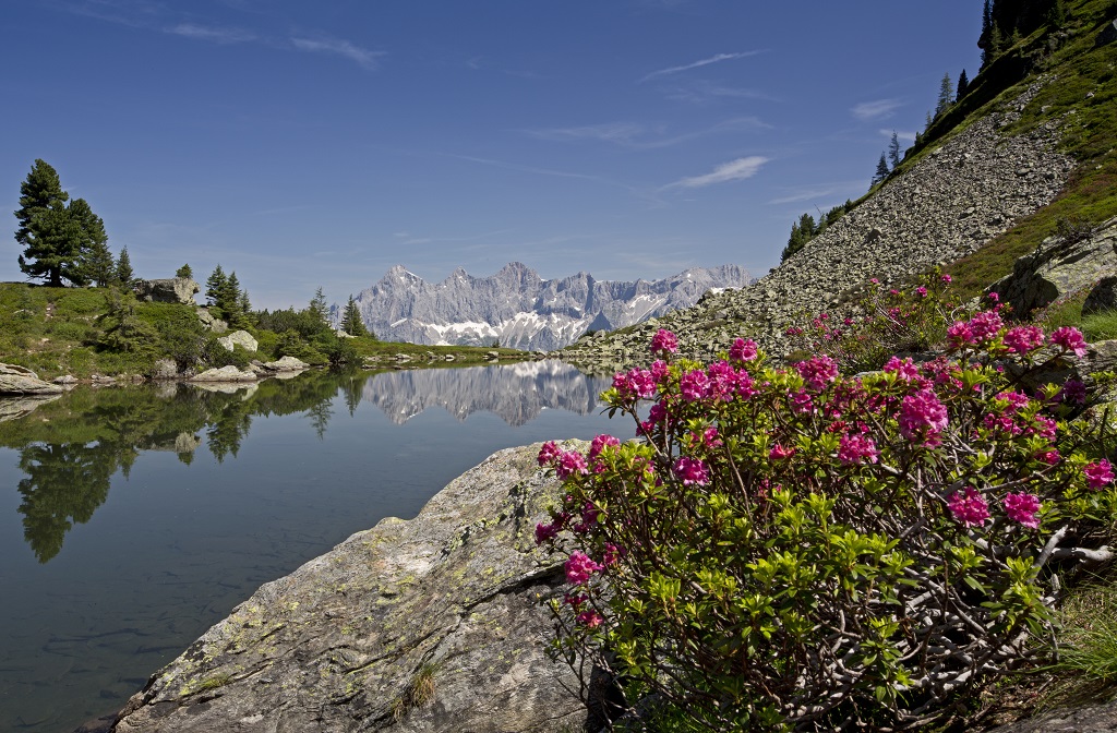 Trip with children - Pölla (Rennweg am Katschberg) - Spiegelsee zur Almrauschblüte - Wanderhighlight: "Spiegelsee" auf der Reiteralm