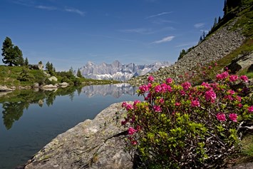 Ausflugsziel: Spiegelsee zur Almrauschblüte - Wanderhighlight: "Spiegelsee" auf der Reiteralm