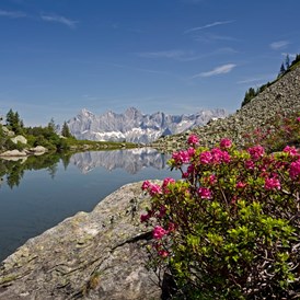 Ausflugsziel: Spiegelsee zur Almrauschblüte - Wanderhighlight: "Spiegelsee" auf der Reiteralm