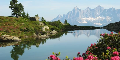 Viaggio con bambini - Thomatal - Spiegelsee Zur Almrauschblüte - Wanderhighlight: "Spiegelsee" auf der Reiteralm