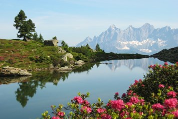 Ausflugsziel: Spiegelsee Zur Almrauschblüte - Wanderhighlight: "Spiegelsee" auf der Reiteralm