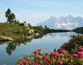 Ausflugsziel: Spiegelsee Zur Almrauschblüte - Wanderhighlight: "Spiegelsee" auf der Reiteralm