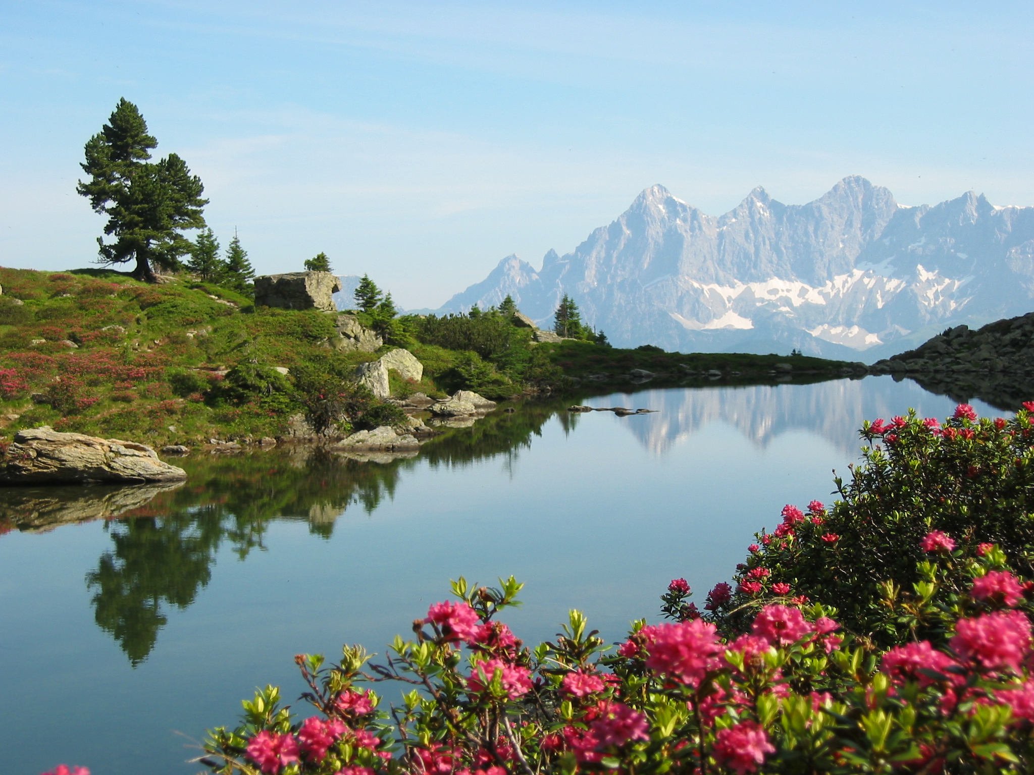 Ausflugsziel: Wanderhighlight: "Spiegelsee" auf der Reiteralm