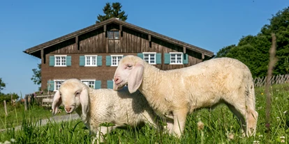 Reis met kinderen - Riefensberg - Allgäuer Bergbauernmuseum