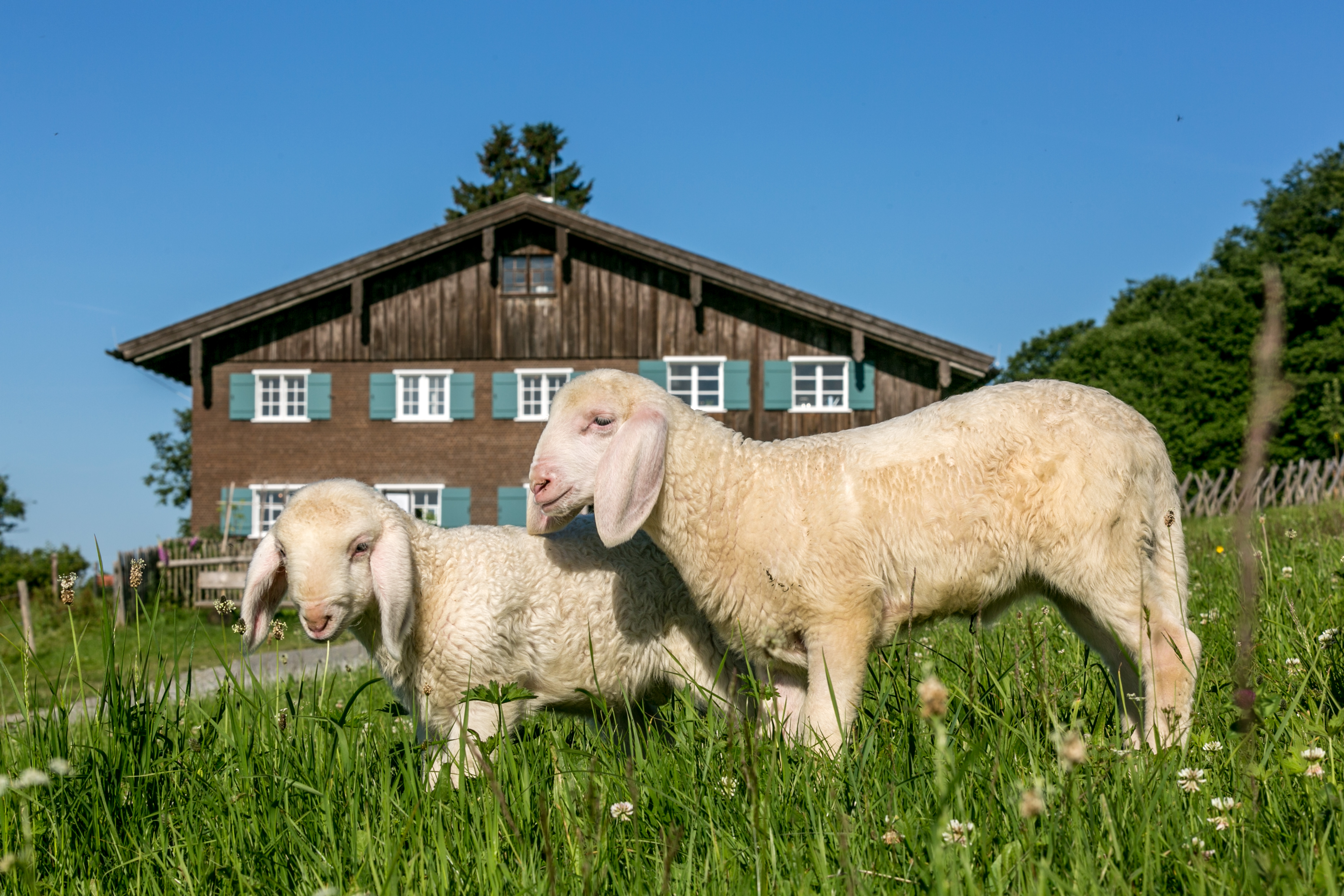 Ausflugsziel: Allgäuer Bergbauernmuseum