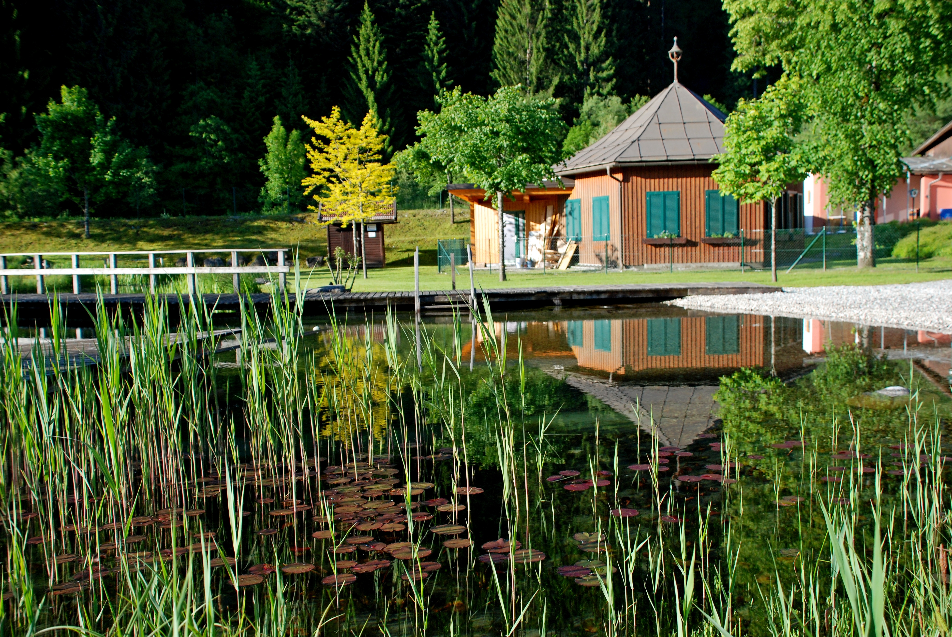 Viaggio con bambini - Dauer: ganztags - Jenig - Naturschwimmbad Waldbad Mauthen