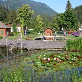 Ausflugsziel: Naturschwimmbad Waldbad Mauthen
