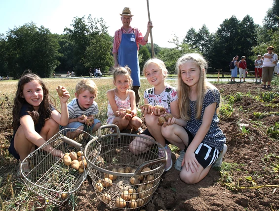 Ausflugsziel: Ran an die Knolle! Gemeinsame Kartoffelernte beim FreiLandFest Ende August - Fränkisches Freilandmuseum Fladungen