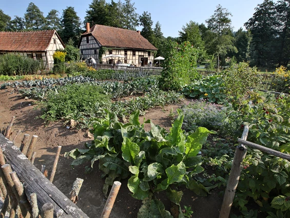 Ausflugsziel: Bauerngarten im Fränkischen Freilandmuseum Fladungen - Fränkisches Freilandmuseum Fladungen
