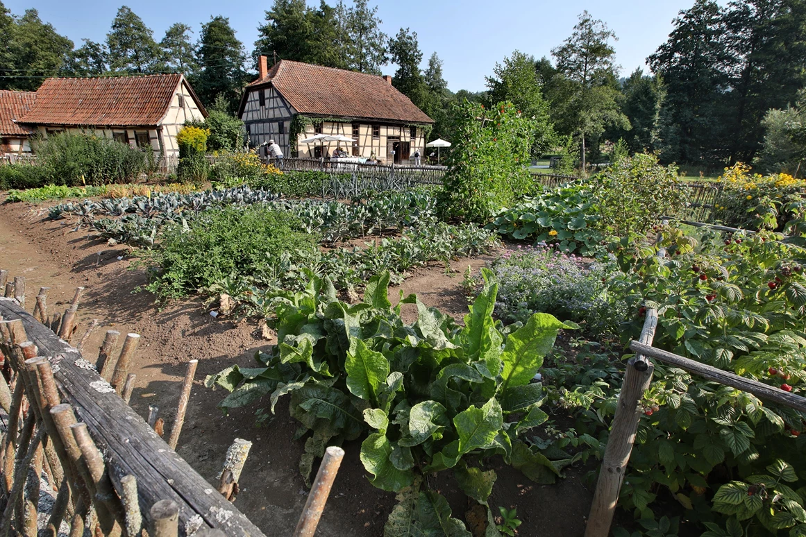 Ausflugsziel: Bauerngarten im Fränkischen Freilandmuseum Fladungen - Fränkisches Freilandmuseum Fladungen