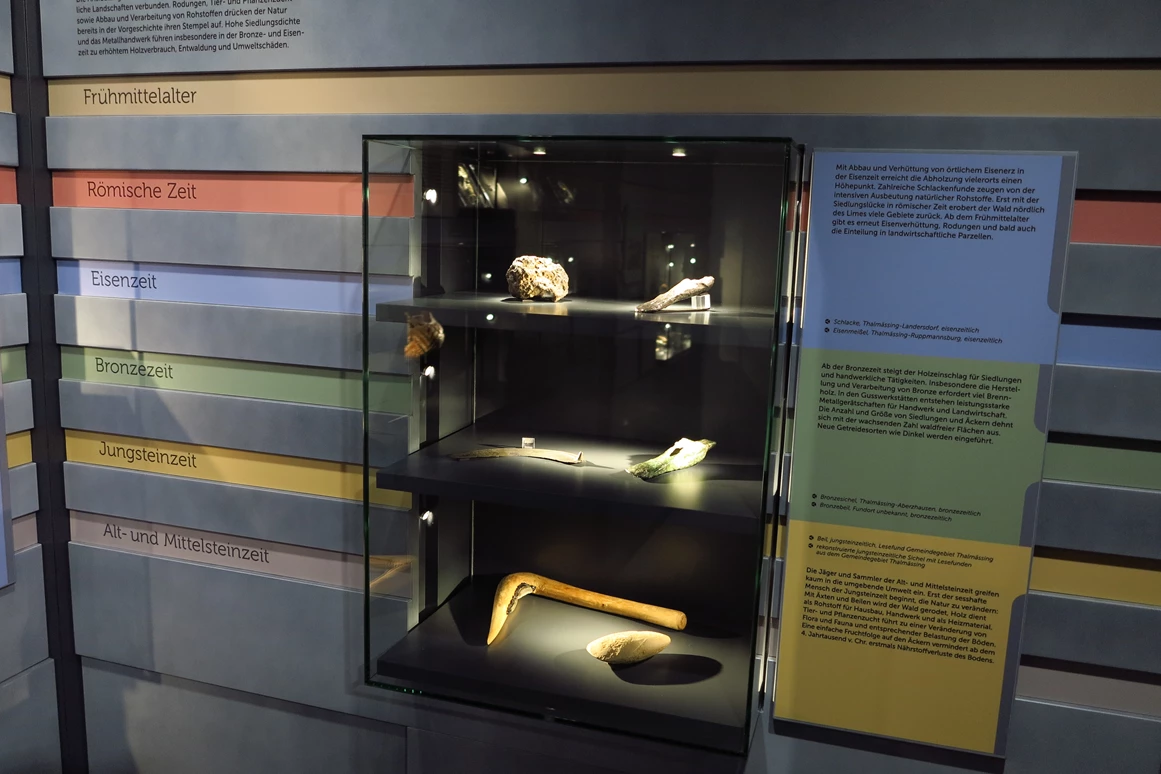 Ausflugsziel: Fundreich Thalmässing – Archäologisches Museum