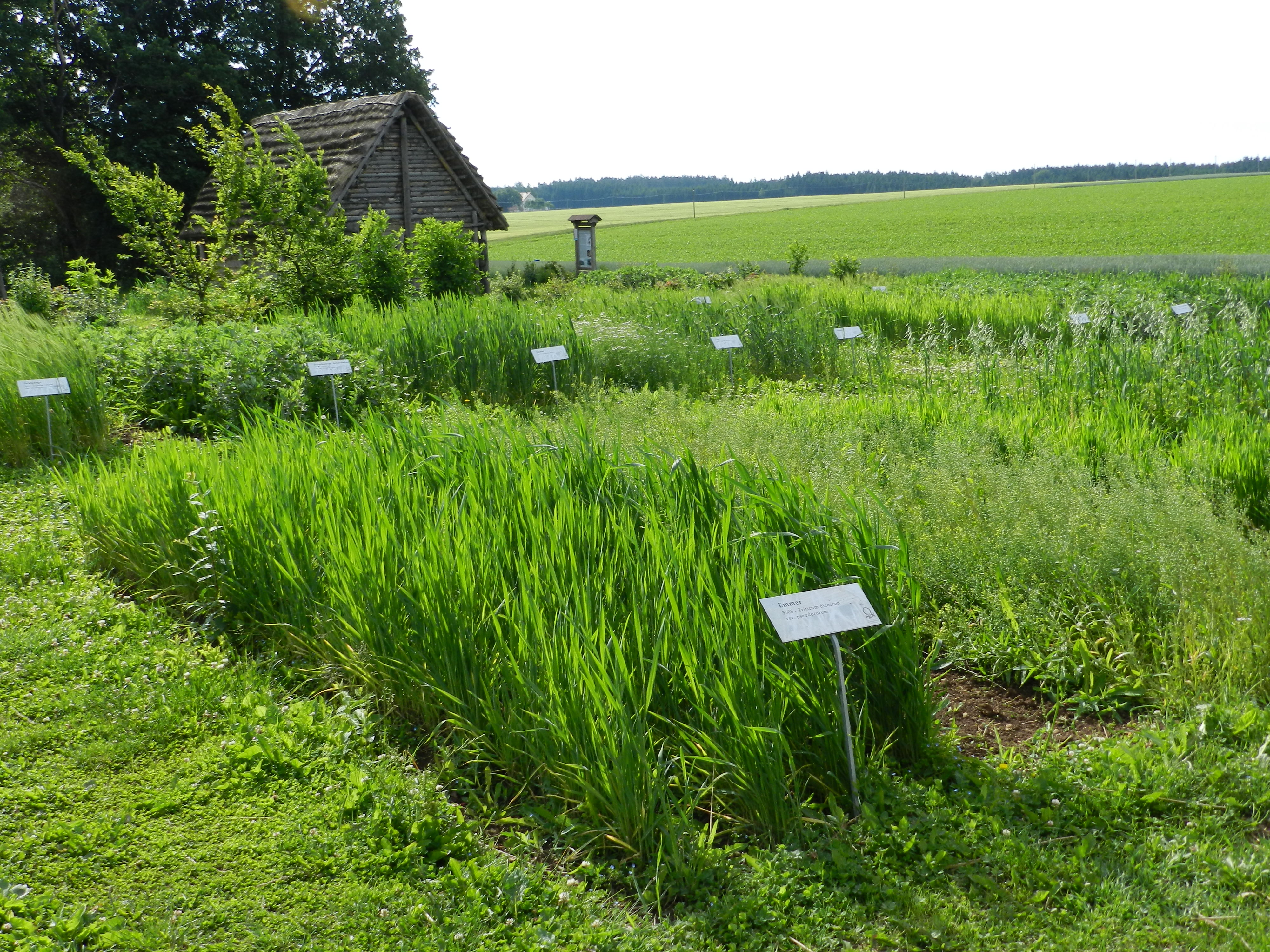 Ausflugsziel: Vorgeschichtlicher Garten im Geschichtsdorf Landersdorf - Fundreich Thalmässing – Archäologisches Museum