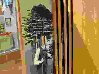 Ausflugsziel: Spessartmuseum Lohr am Main