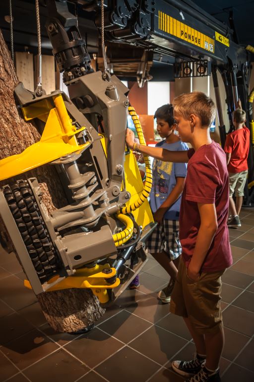 Ausflugsziel: Waldgeschichtliches Museum St. Oswald