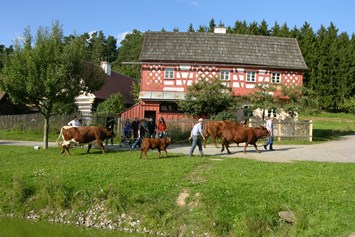 Ausflugsziel: Freilandmuseum Oberpfalz