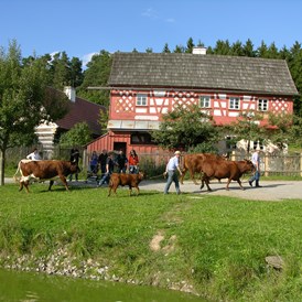 Ausflugsziel: Freilandmuseum Oberpfalz