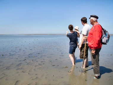 Ausflugsziel: Hotel Deichkrone