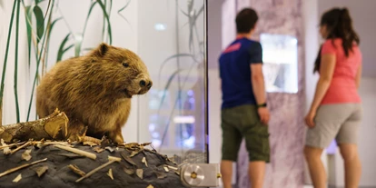 Reis met kinderen - PLZ 86633 (Deutschland) - Informationszentrum Naturpark Altmühltal