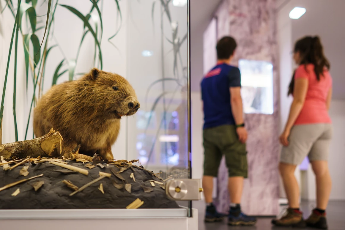 Ausflugsziel: Informationszentrum Naturpark Altmühltal