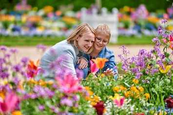 Ausflugsziel: Natur und Blumenpracht im Hofgarten und in der grünen Umgebung - Hohenzollernresidenz Ansbach