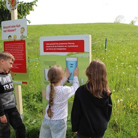 Ausflugsziel: Erlebnisweg "Lea und Ben bei den Mutterkühen" in Lenzburg (AG)